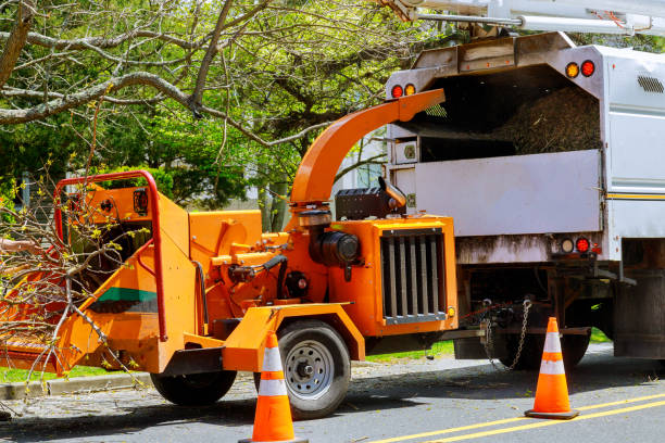 Best Emergency Tree Service  in Bonnetsville, NC